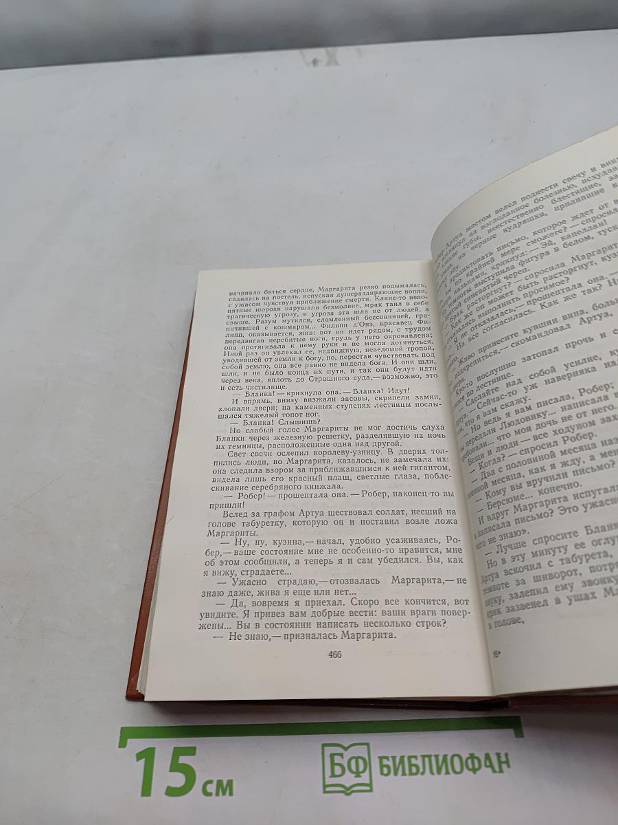 Железный король. Книга 3. Ильица Шам-Табара
