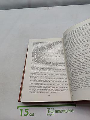 Железный король. Книга 3. Ильица Шам-Табара