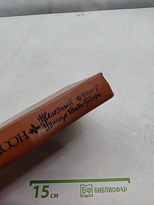 Железный король. Книга 3. Ильица Шам-Табара
