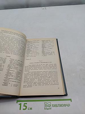 Итальянский язык. Устный перевод