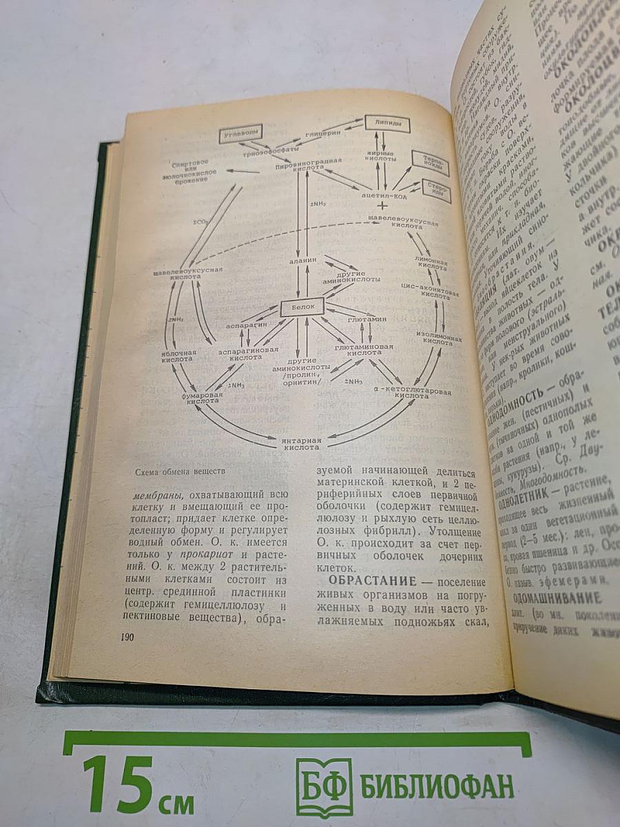 Основные биологические понятия и термины