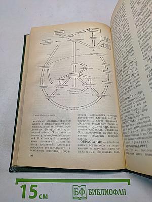 Основные биологические понятия и термины