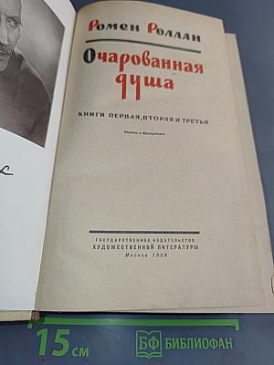 Очарованная душа. Книги первая, вторая и третья