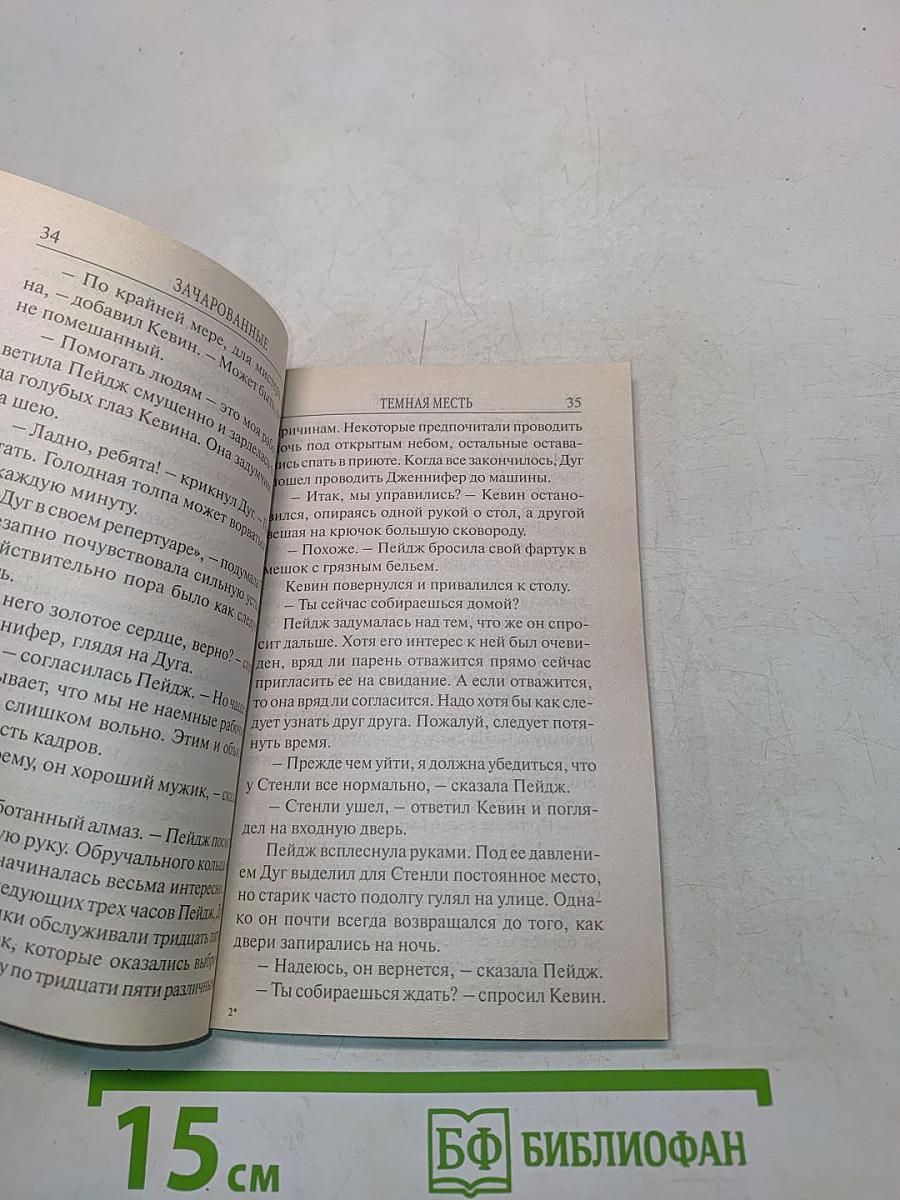 Зачарованные. Темная месть