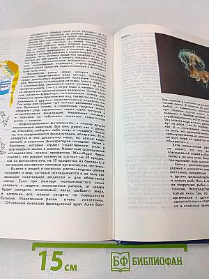 Мир океана