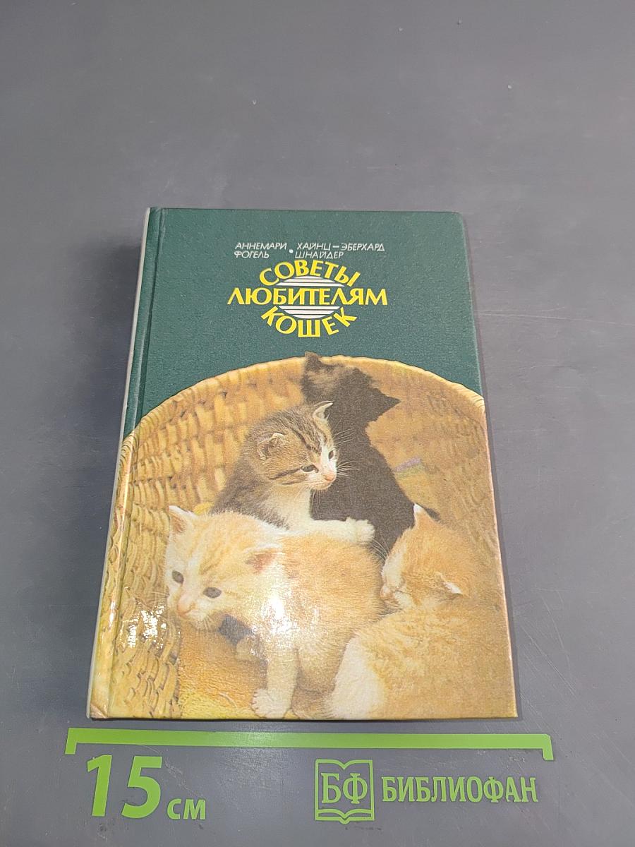Советы любителям кошек