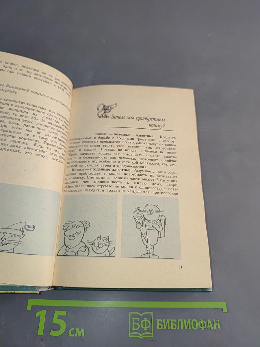 Советы любителям кошек