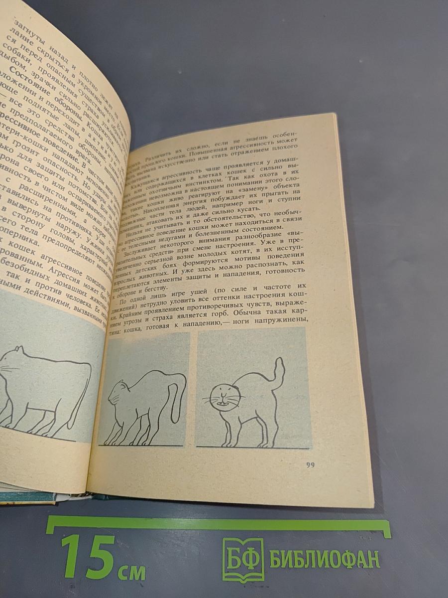 Советы любителям кошек
