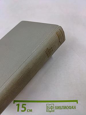 Собрание сочинений в двенадцати томах. Том одиннадцатый. Письма 1877-1892