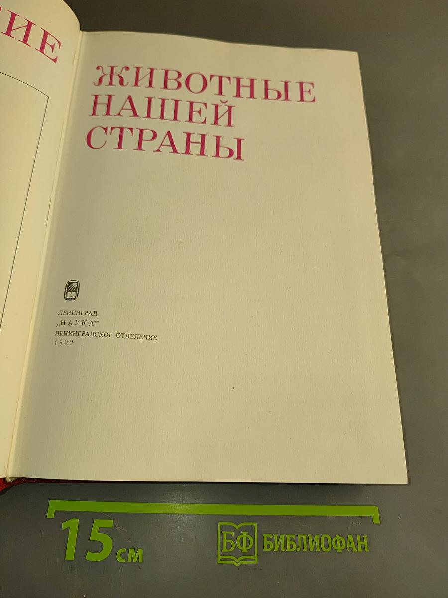 Редкие животные нашей страны