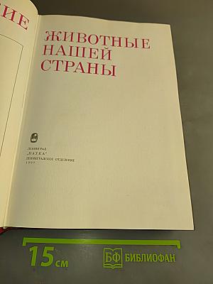 Редкие животные нашей страны