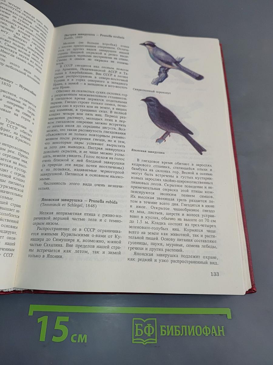 Редкие животные нашей страны