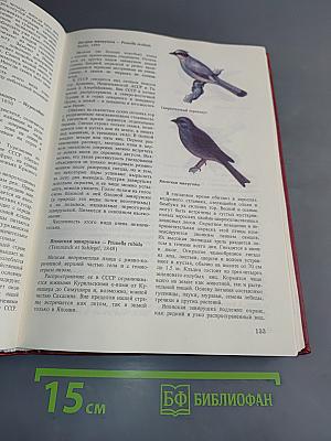 Редкие животные нашей страны