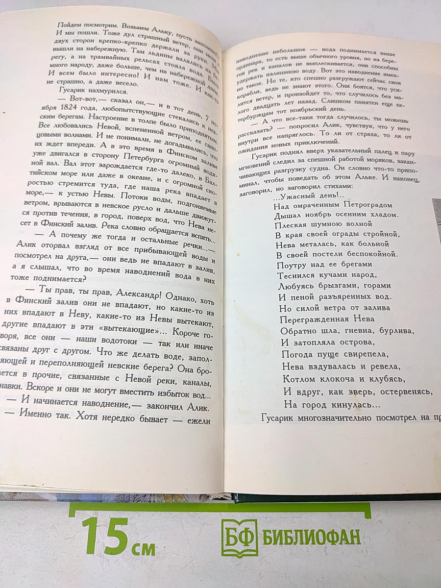 Единственный город! Путешествие по Петербургу с Аликом и Гусариком