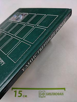 Единственный город! Путешествие по Петербургу с Аликом и Гусариком