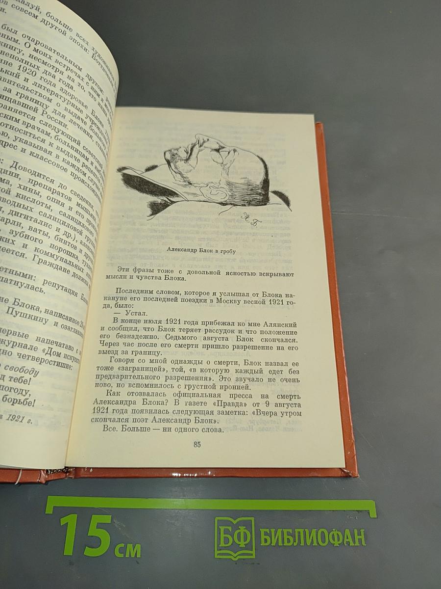 Дневник моих встреч. Цикл трагедий. Том 1