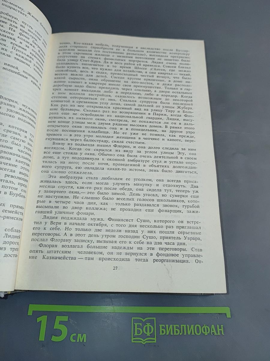 Семья Буссардель. Испорченные дети