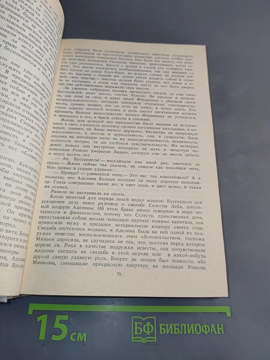 Семья Буссардель. Испорченные дети