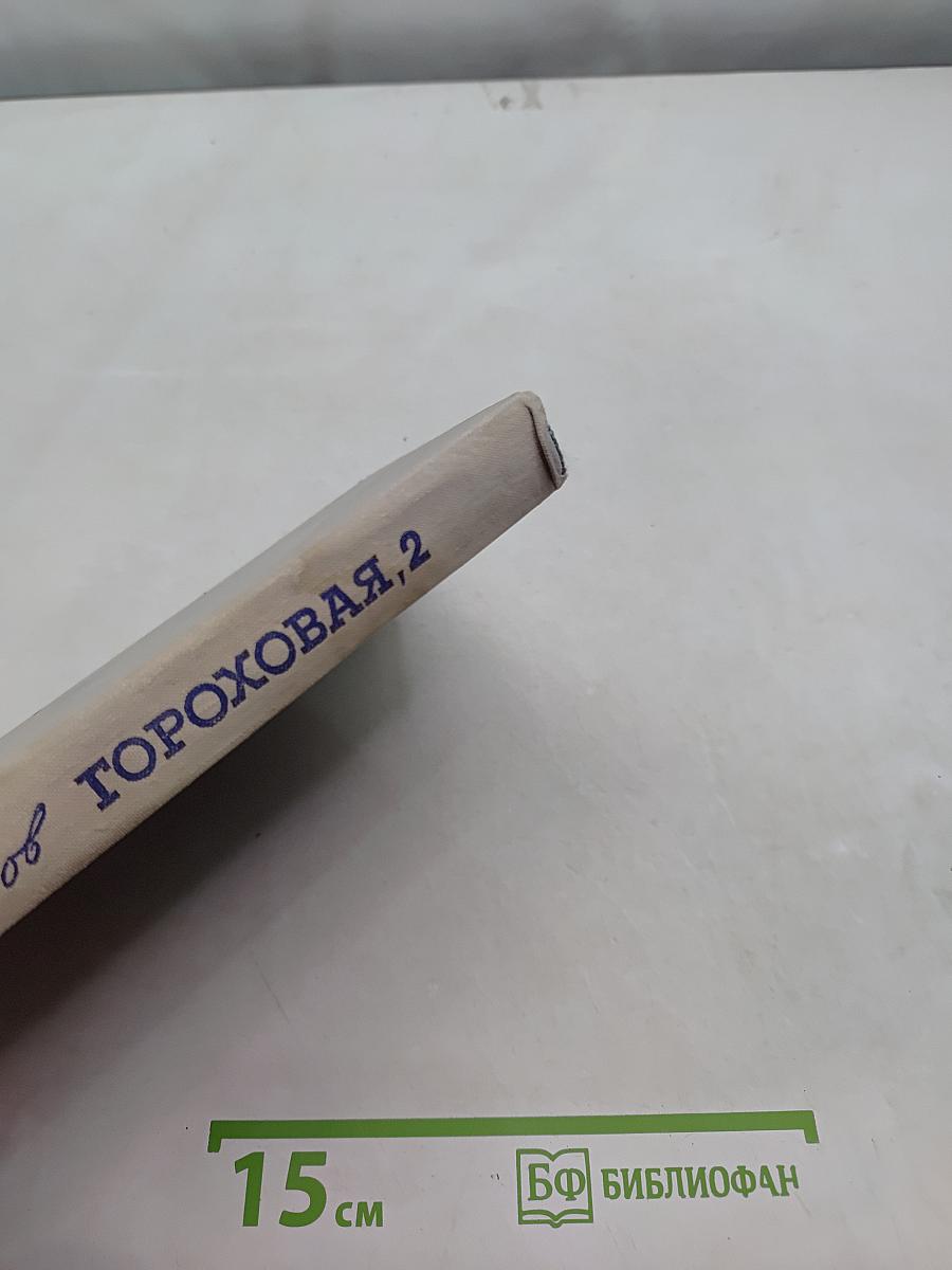 Гороховая, 2