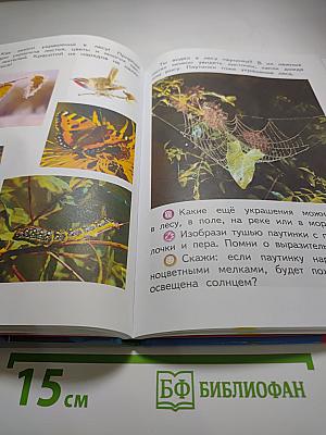 Изобразительное искусство. Искусство и ты. 2 класс