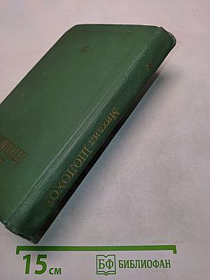 Тихий Дон. Книга вторая