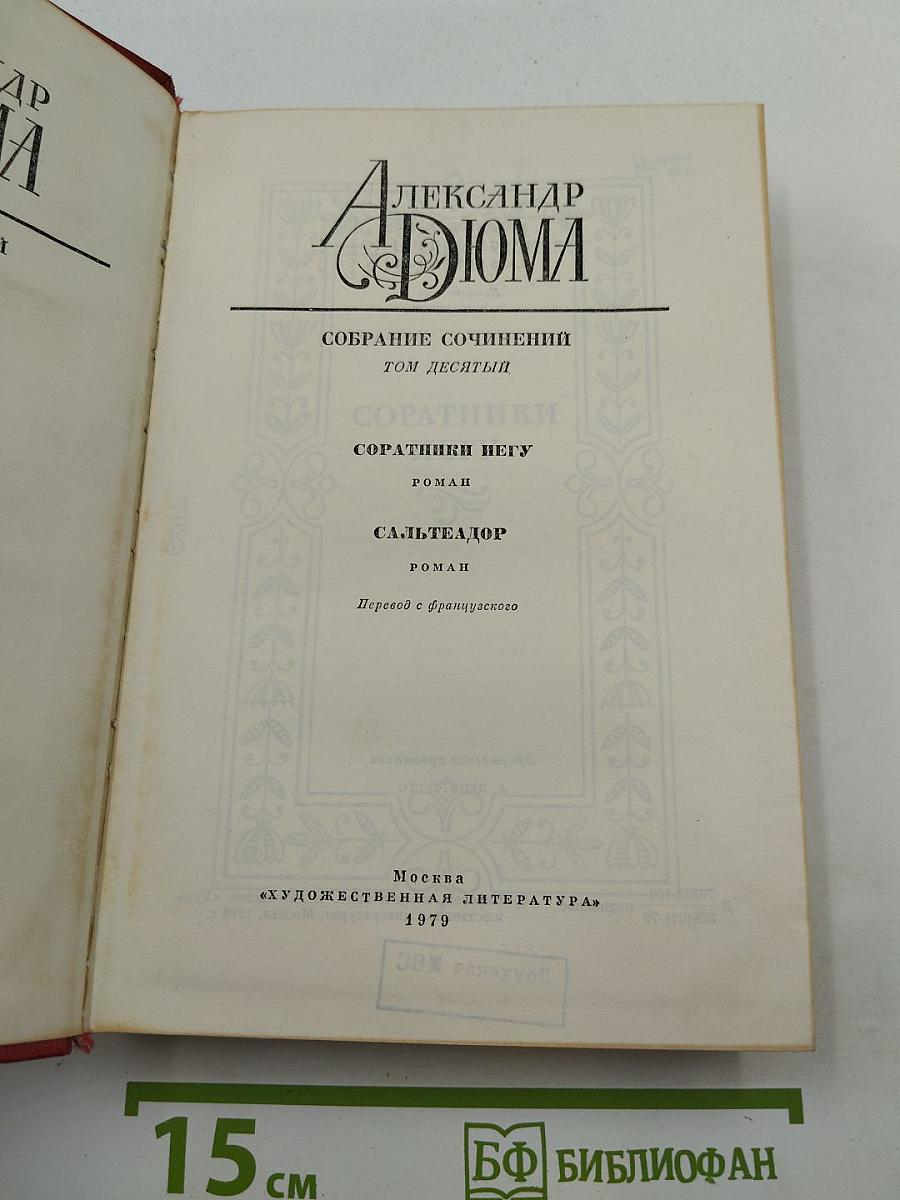 Собрание сочинений. Том 10: Соратники Негу. Саль-Теадор