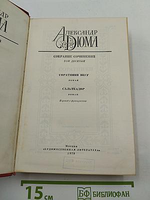 Собрание сочинений. Том 10: Соратники Негу. Саль-Теадор