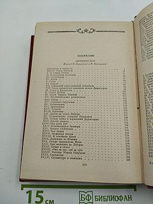 Собрание сочинений. Том 10: Соратники Негу. Саль-Теадор