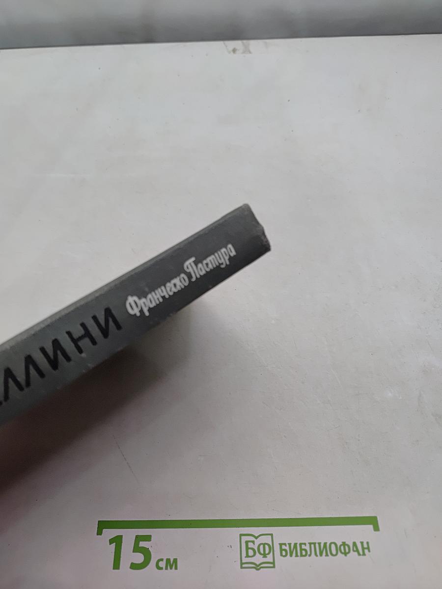 Беллини