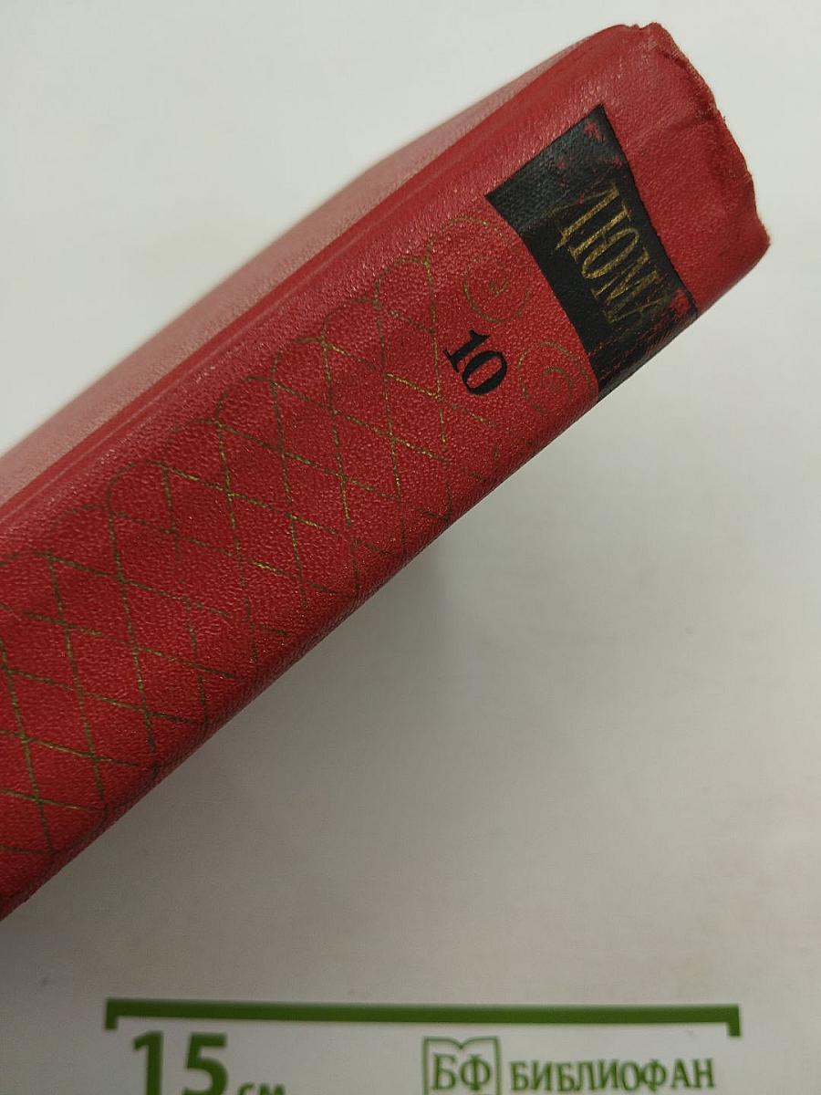 Собрание сочинений. Том 10: Соратники Негу. Саль-Теадор