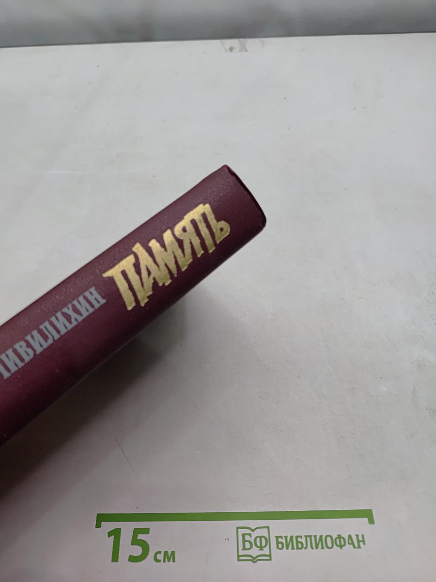 Память. Роман-очерк в двух книгах. Книга вторая
