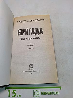 Бригада. Битва за масть. Книга 2