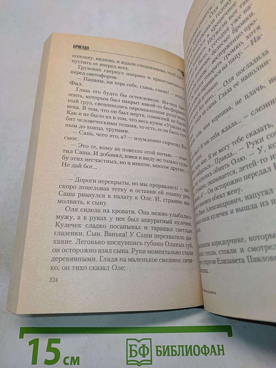 Бригада. Битва за масть. Книга 2