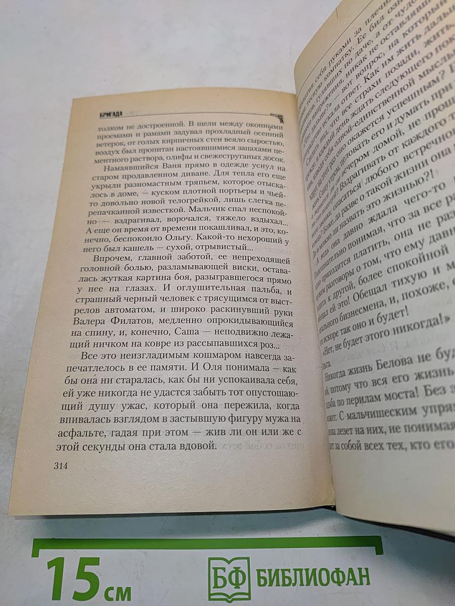Бригада. Битва за масть. Книга 2