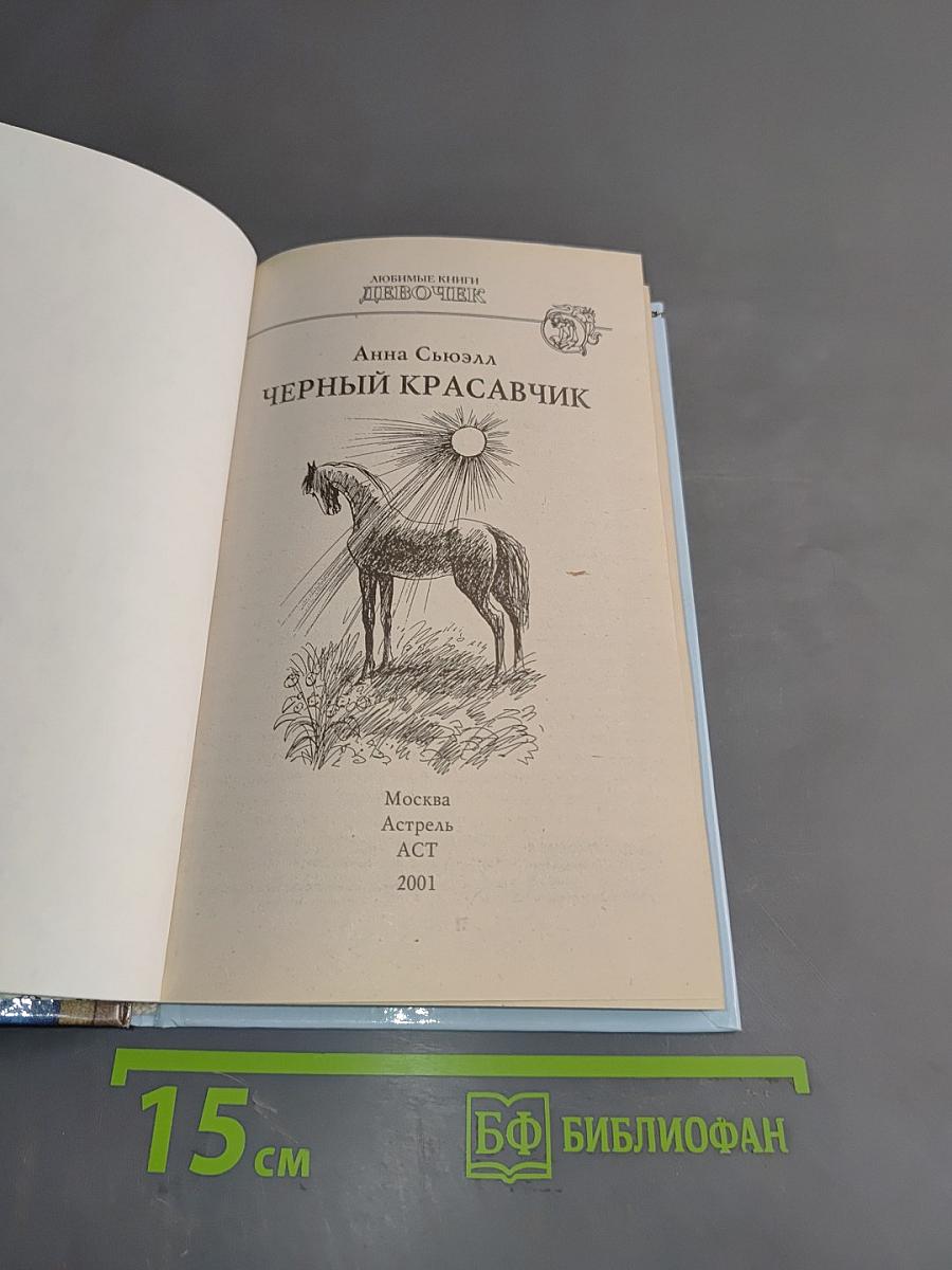 Черный красавчик