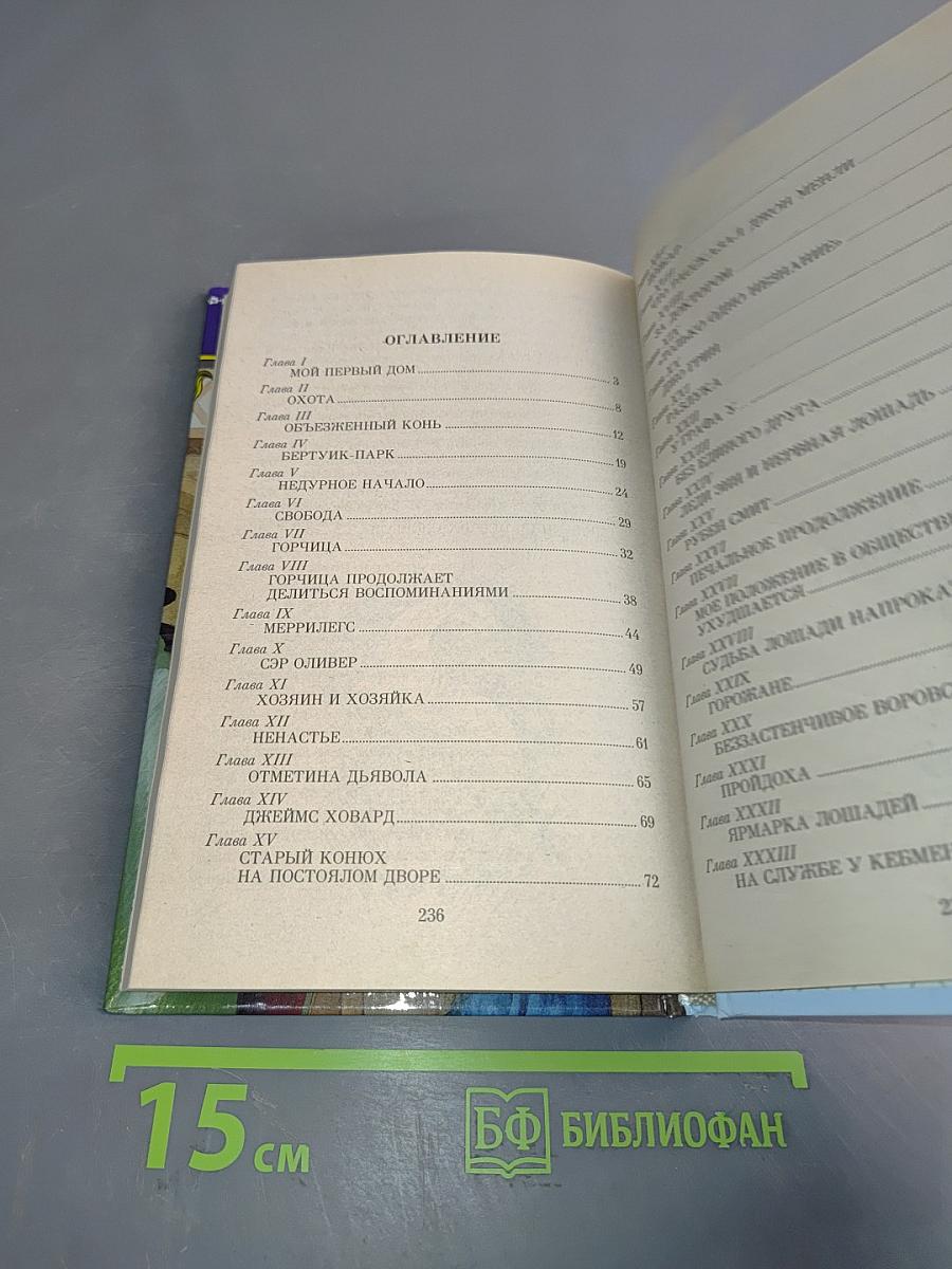 Черный красавчик