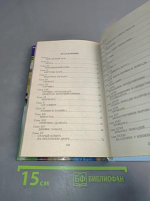 Черный красавчик