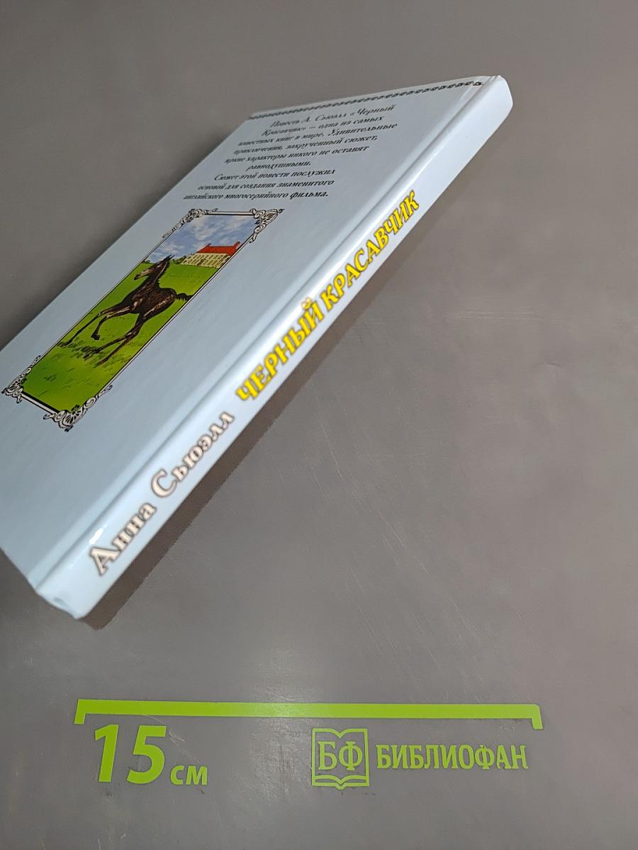 Черный красавчик