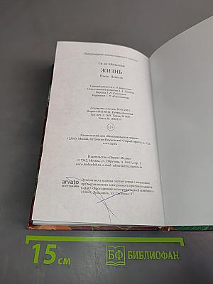 Великие произведения о любви. Жизнь