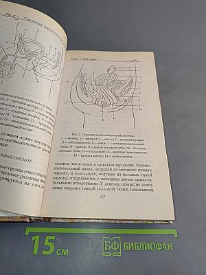 Современная энциклопедия для мальчиков