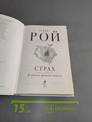 Страх. Книга первая. И небеса пронзит комета