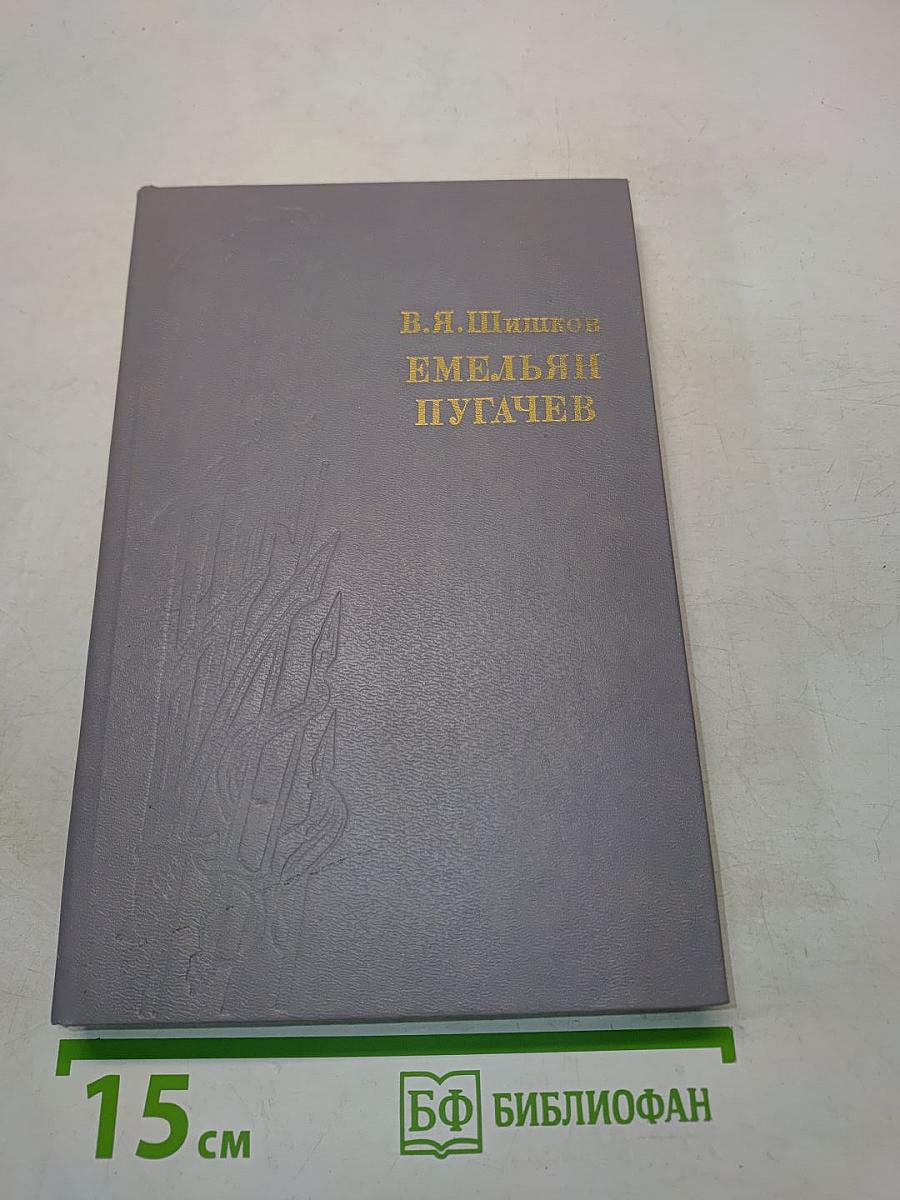 Емельян Пугачев. Историческое повествование. Книга третья