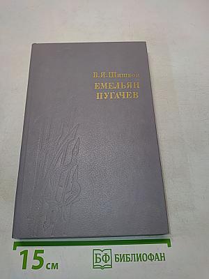 Емельян Пугачев. Историческое повествование. Книга третья