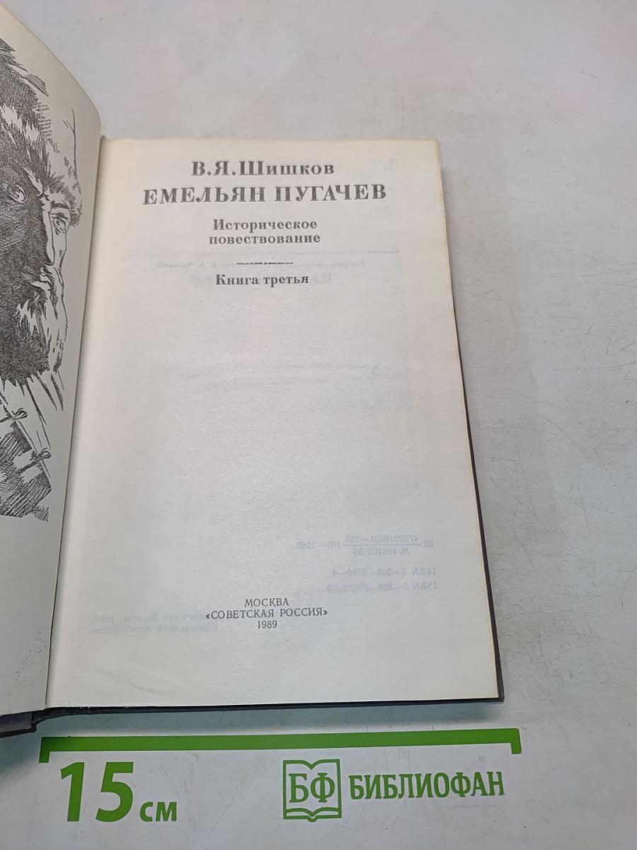 Емельян Пугачев. Историческое повествование. Книга третья