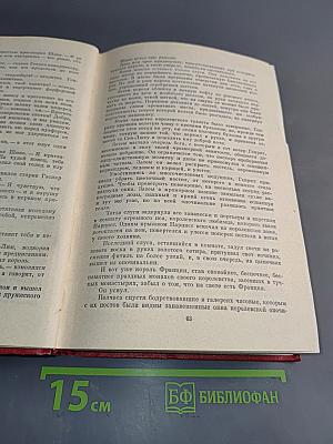 Графиня де Монсоро. Том шестой