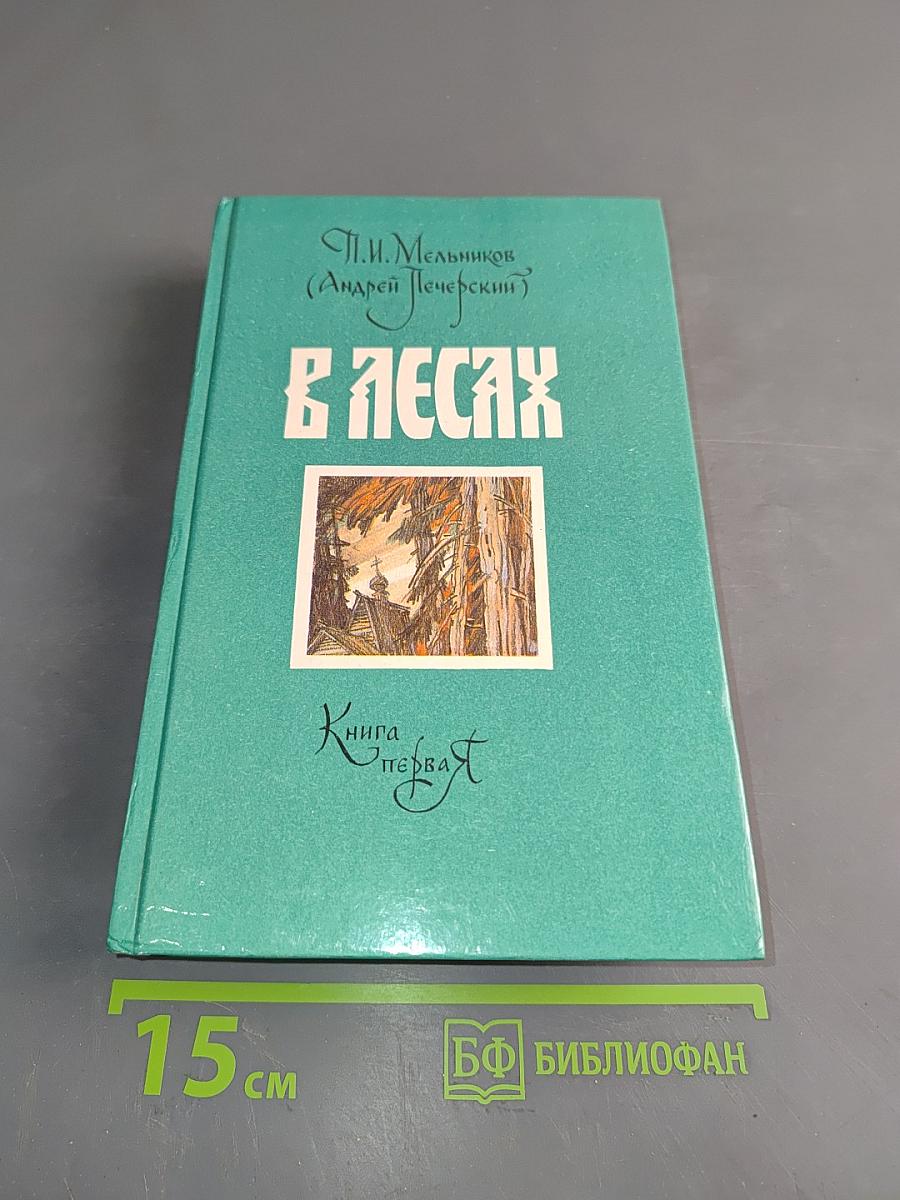 В лесах. Книга первая
