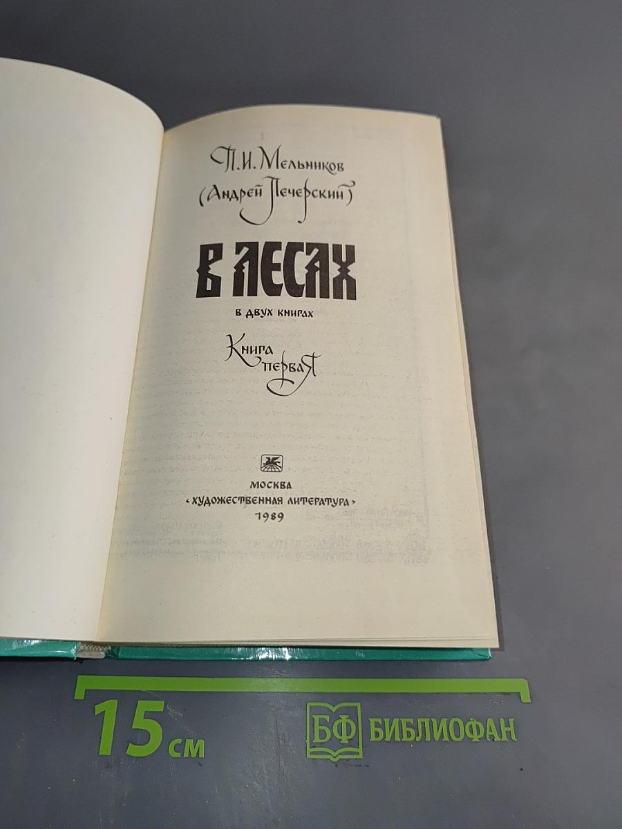 В лесах. Книга первая