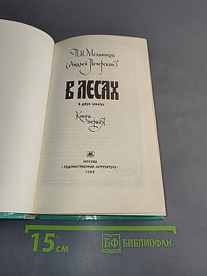 В лесах. Книга первая
