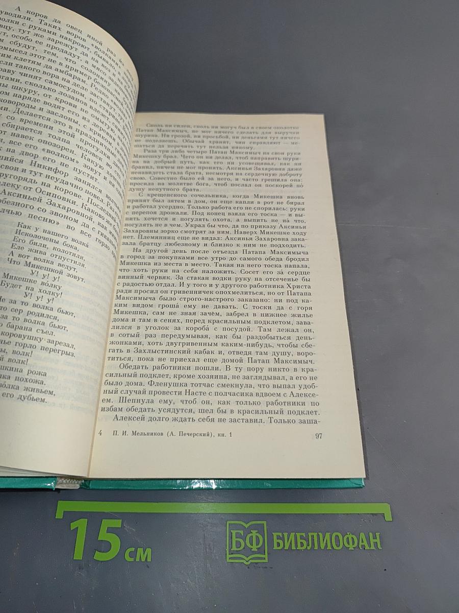 В лесах. Книга первая