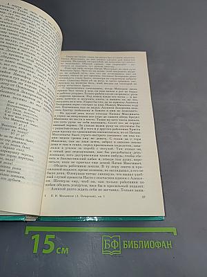 В лесах. Книга первая
